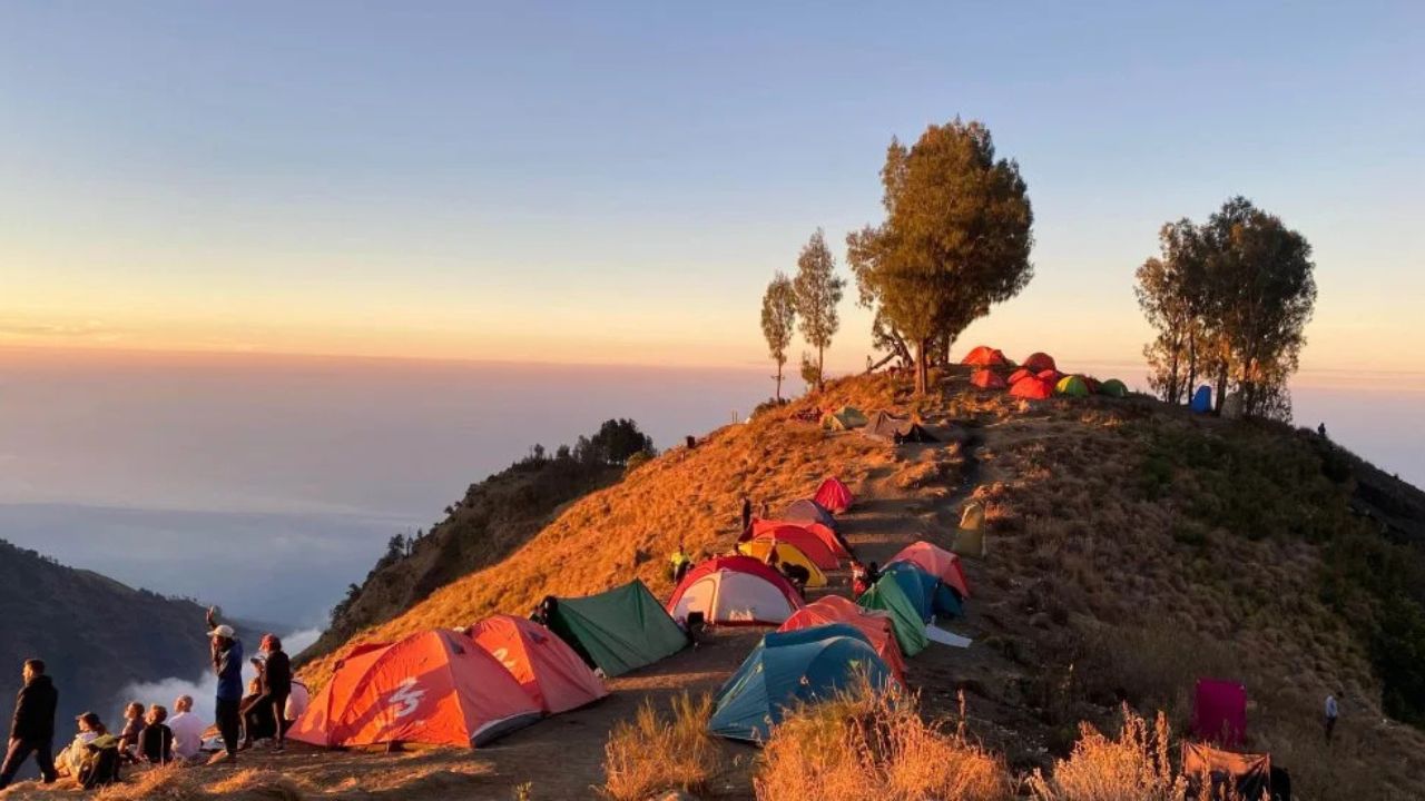 Tim Rinjani